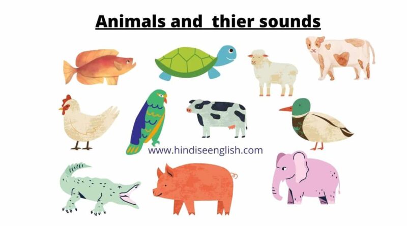 animals and their sounds in Hindi and English - Hindi se English
